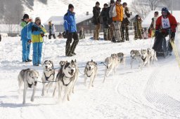 Lenk 2012 SM